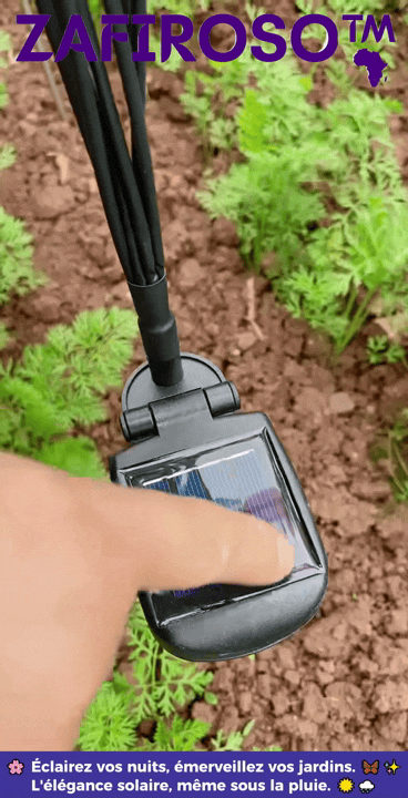 🦋 LumiPap™ (4 pieces) La magie solaire qui transforme votre jardin, même la nuit. ✨