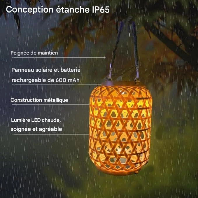 Luminéra™