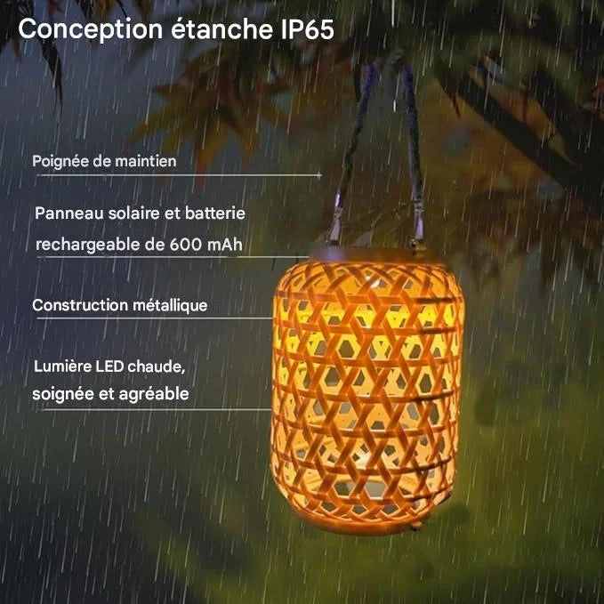 Luminéra™ 🏮